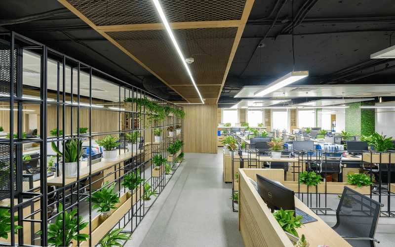 Văn phòng xanh được ưa chuộng vì mang lại nhiều tiện ích